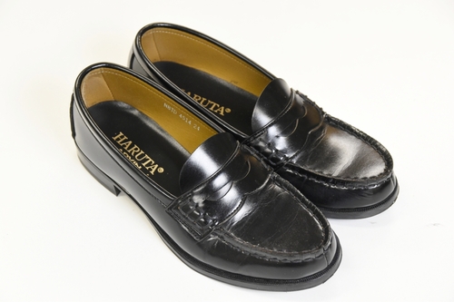 �_�ސ쌧 ������葍���Ȋw���Z �y���s �ʊw�C ���[�t�@�[�z/3821SE