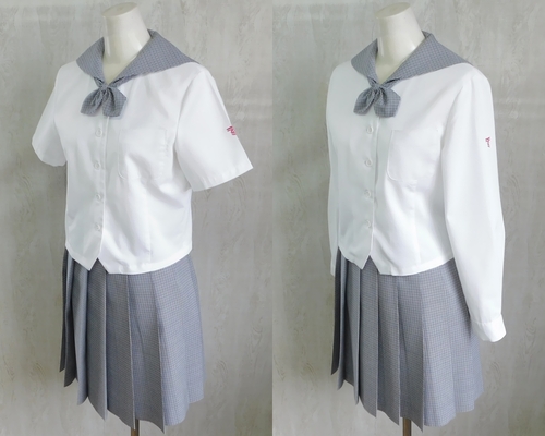  ���F�{�� ���C��w�t���F�{���č��Z �Đ�����