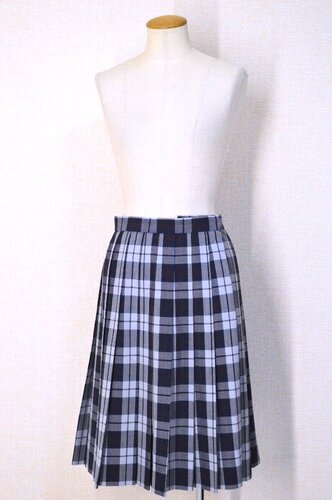  �������s ��Êw�����w�Z�E�����w�Z �`�F�b�N�� �ăX�J�[�g �q���R�R�V�m��T6132