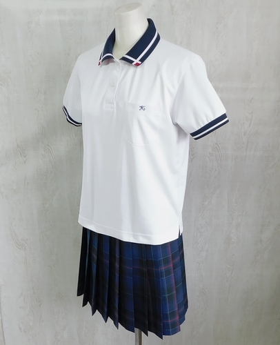  ���F�{�� �F�{�������Z �Đ�����