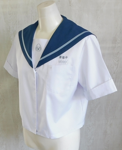  �����������y�P�i�z�����s�����ߒ��w �ĕ���