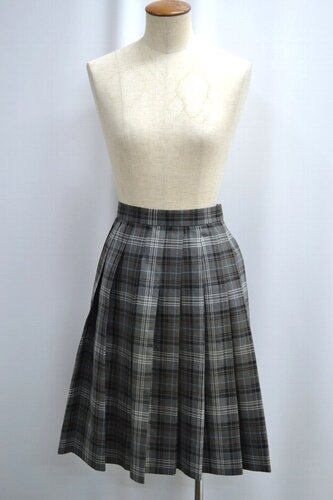  �Z��ʌ� �i���^�썂���w�Z �ăX�J�[�g ����6257