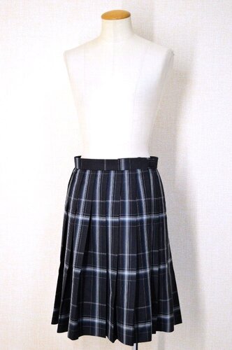  �������s �i�����������w�Z �~�X�J�[�g��T6133