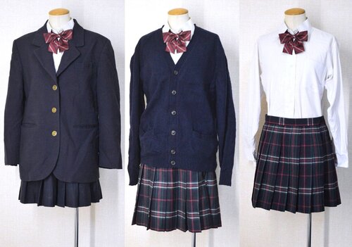  �������s�� �����V�c�����w�Z �u���U�[�~�ĕ� ���{�� ��size�X�J�[�g��NS21T6134