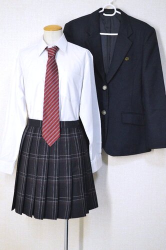  �������s�� ���n�����w�Z �u���U�[ �ĕ� �l�N�^�C��T6141