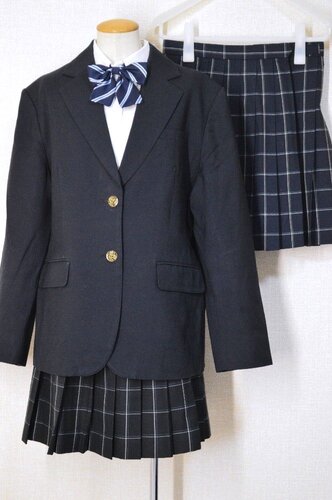  �������s�� ���������w�Z �u���U�[�~�ĕ���T6142