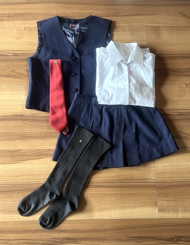 �_�ސ쌧 ���z���w�����q�����Z�b�g���ĕ����}�C�N���~�j�X�J�[�g