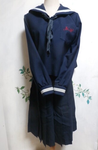  �Z�@���Ɍ��@���Ɍ����Ð쓌�����w�Z�@�傫��3�_�Z�b�g�@�Z�[���[���~�P�V�OA�@�X�J�[�g�ā@�V�T�T�C�Y�@�Z