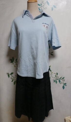  �Z�@���Ɍ��@�@�d���썂�Z���q�@�S�_�@�@�傫�ځ@�L���Z