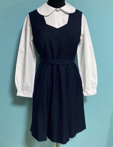 �ޗǌ� 4-19���ޗǋ����w�������w�Z���~�p�W�����p�[�X�J�[�g�@�T�C�Y155A