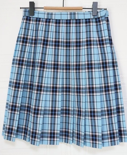 [�ʐM��] �N���[�N�L�O���ۍ��Z ���� �ĕ� �`�F�b�N�X�J�[�g