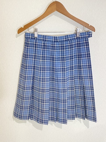  ���䌧  �։�H�ƍ����w�Z  �ėp�`�F�b�N���X�J�[�g 66�~52