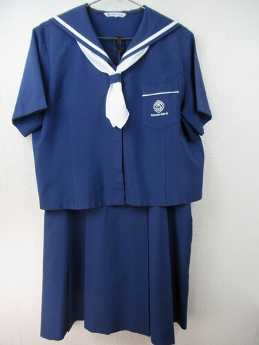 �F�{�� 0053�@490�@����T�C�Y�I�M�����w�@ �ăZ�[���[�㉺�Z�b�g ���n ���X�J�[�t�t