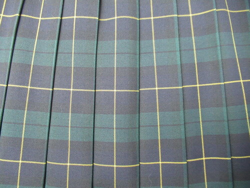 ���{ 0070�@530�@������㒆�� �~�X�J�[�g �΁{���{�� �`�F�b�N��