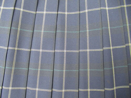 [�s��] 0073�@500�@�~�X�J�[�g SCHOOLTIGER�� ���{�΁{�� �`�F�b�N��