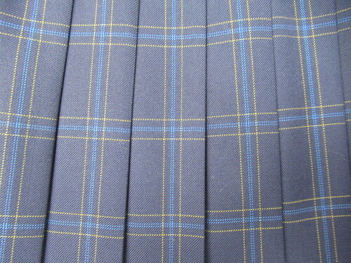 [�s��] 0075�@530�@�~�X�J�[�g SCHOOLTIGER�� ���{�{�� �`�F�b�N��