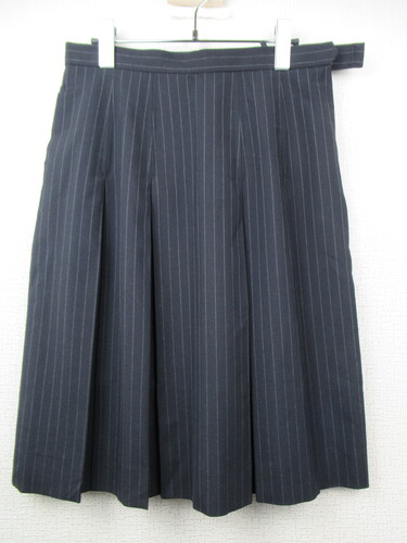 �F�{�� 0095�@350�@�傫�ȃT�C�Y�I��B�w�@ �ăX�J�[�g ���X�g���C�v