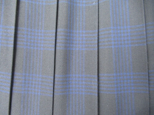 ���ꌧ 0100�@420�@�傫�ȃT�C�Y�I���ꏤ�ƍ��Z �ăX�J�[�g ���{�� �`�F�b�N��