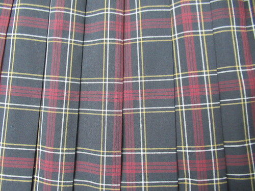 [�s��] 0101�@370�@�傫�ȃT�C�Y�I�ăX�J�[�g SCHOOLTIGER�� ���{�ԁ{�� �`�F�b�N��