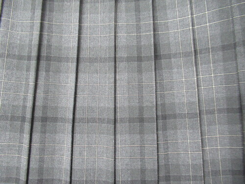 [�s��] 0103�@450�@�ăX�J�[�g CAMPUSLIFE �O���[ �`�F�b�N��