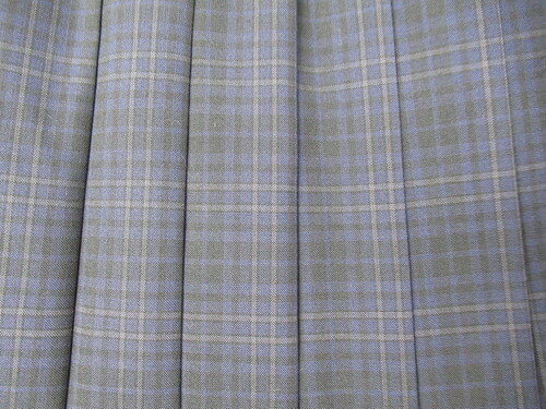 [�s��] 0109�@390�@�ăX�J�[�g SCHOOLTIGER�� ���{��+�O���[ �`�F�b�N��