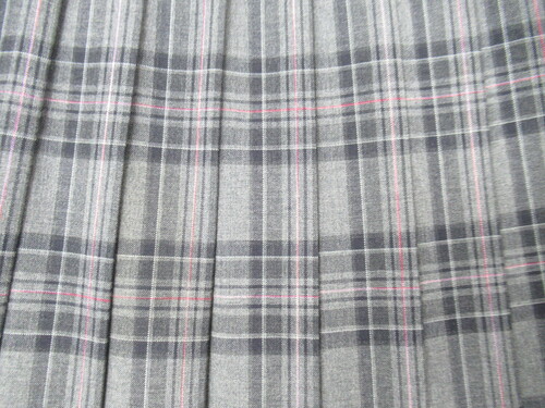 [�s��] 0110�@410�@�ăX�J�[�g HELLOSTUDENT �O���[�{���{�s���N �`�F�b�N��