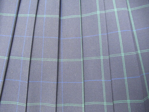 [�s��] 0112�@370�@�ăX�J�[�g ���{�΁{�n �`�F�b�N��