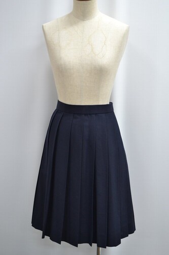  �Z��size ��t���� �����J�����w�Z �ăX�J�[�g ����6277