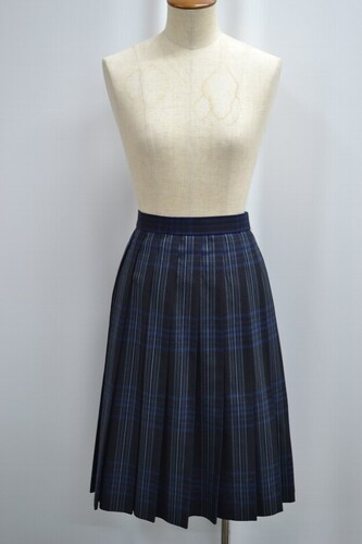  �Z��ʌ� ����s�������w�Z �ăX�J�[�g ����6279