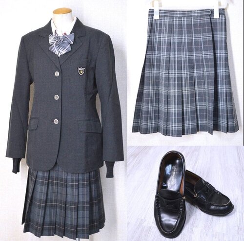  ���É��� ���{��w�O�������w�Z �u���U�[�~�ĕ� ���[�t�@�[��T6156