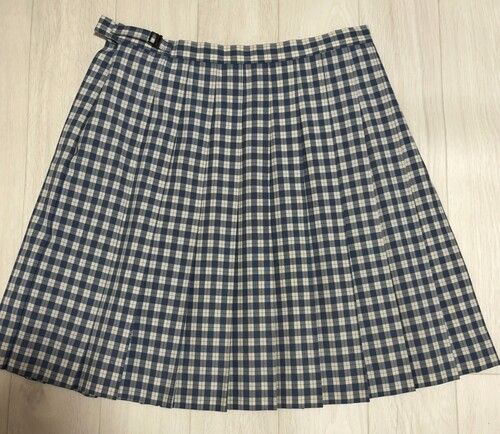 �{�錧 �{�錧 ���s���@���a�w�����Z �ăX�J�[�g �@HANAE MORI