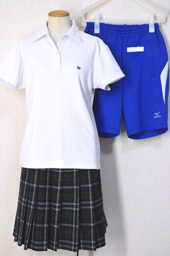  �������s �哌������w��ꍂ���w�Z �ĕ� �n�C�\�b�N�X �Z�p������NS23T6135