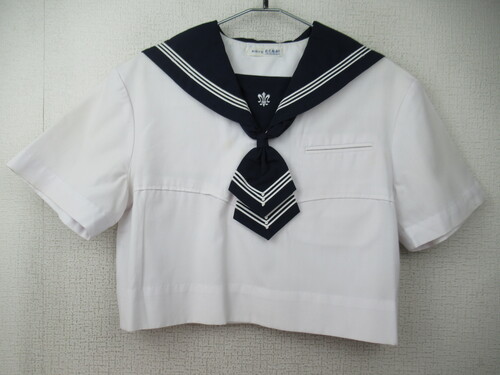 �F�{�� 0133�@230�@���S���w�� �ăZ�[���[�㒅 ���� ���^�C�t