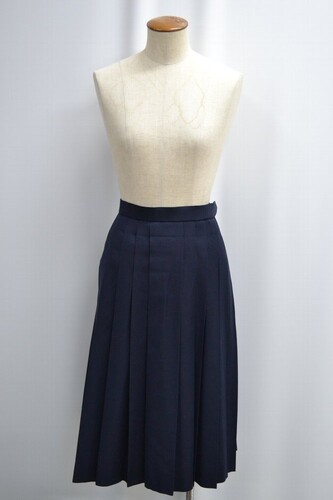  �Z��t���� ���썂���w�Z �ăX�J�[�g ����6282