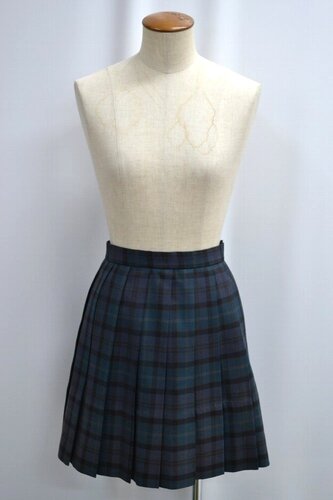  �Z��ʌ��� ��������w�Z �~�X�J�[�g ����6283