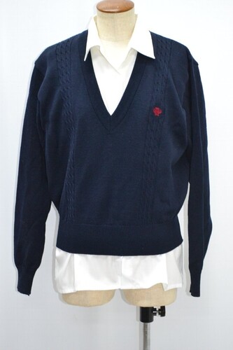  �Z�����s ����c���Ɗw�Z������ �Z�[�^�[�~�� ����5146