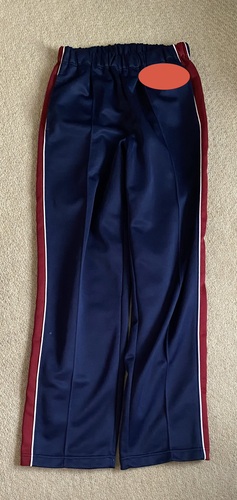 �k�C�� �D�y�s�[�����w�Z�A���q�w��W���[�W�Y�{���̂�