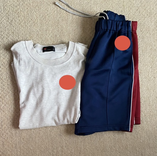 �k�C�� �D�y�s�[�����w�Z�A���q�w��T�V���c�ƃn�[�t�p���c