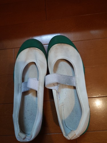 ��t�� ��t�� �������ƍ��Z �㗚�� 22.5cm