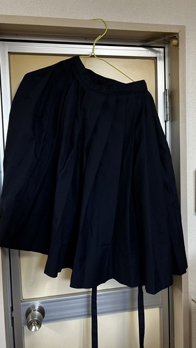 [�s��] �s���@�~�X�J�[�g�P�i