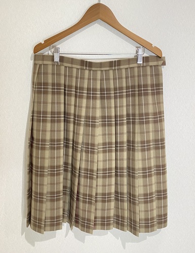  �É��� �s�񐹐S���q�w�@���w�Z�E�����w�Z  �ėp�`�F�b�N���X�J�[�g 81�~60  �傫���T�C�Y