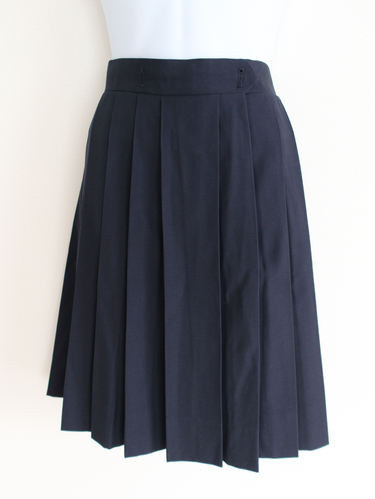 �_�ސ쌧 �傫���T�C�Y�@�t�F���X���w�@���w�Z�����w�Z�@�w��ăv���[�c�X�J�[�g�@