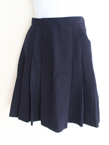 ��ʌ� �R���w�������w�Z�@�w��~�v���[�c�X�J�[�g�@����