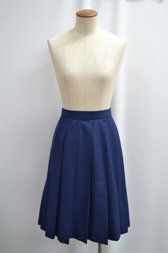  �Z��t���� ���˘Z�������w�Z �ăX�J�[�g ����6299