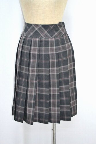  �Z�R������ �J�������w�Z �ăX�J�[�g ��NA5147