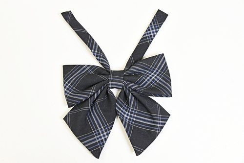 �����s �������C�������Z �y���s���� �ėp���{���z/3829SE