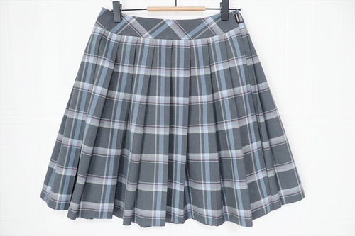 �Ȗ،� ���� ���w�@�Ȗ؍��Z ���q ���� �ĕ� �X�J�[�g �E�G�X�g�U�X