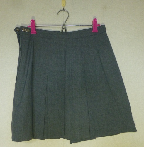 ��ʌ� ��ʌ��@�����s�@��ʌ��������썂���w�Z�@���ăX�J�[�g�@�傫���T�C�Y�@�O���[