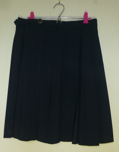 ��t�� ��t���@�s��s�@�s��w���@�ăX�J�[�g�@���s�X�J�[�g�~�Q