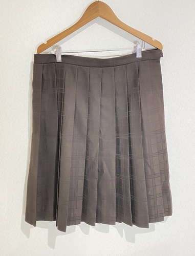  �É��� �s�񐹐S���q�w�@���w�Z�E�����w�Z   �~�p�`�F�b�N���X�J�[�g  81�~60  �傫���T�C�Y